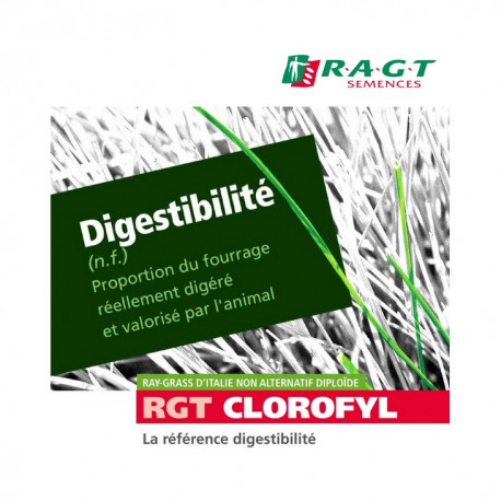 RGI 2N non-alternatif CLOROFYL, Ray-grass d'Italie
