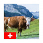 Mélange Suisse VESKOF 5.45 Bio