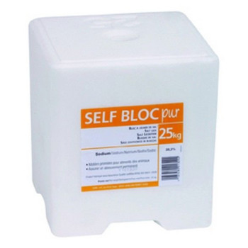 PIERRE DE SEL PUR CARREE 25 KG
