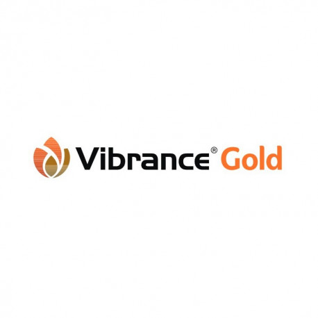 VIBRANCE GOLD