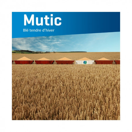 Blé MUTIC
