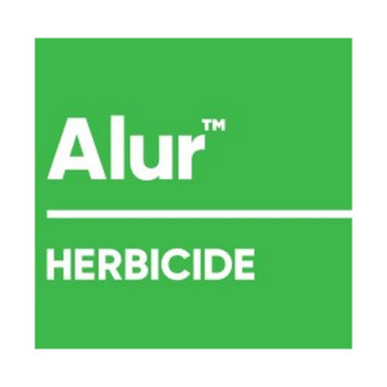 ALUR