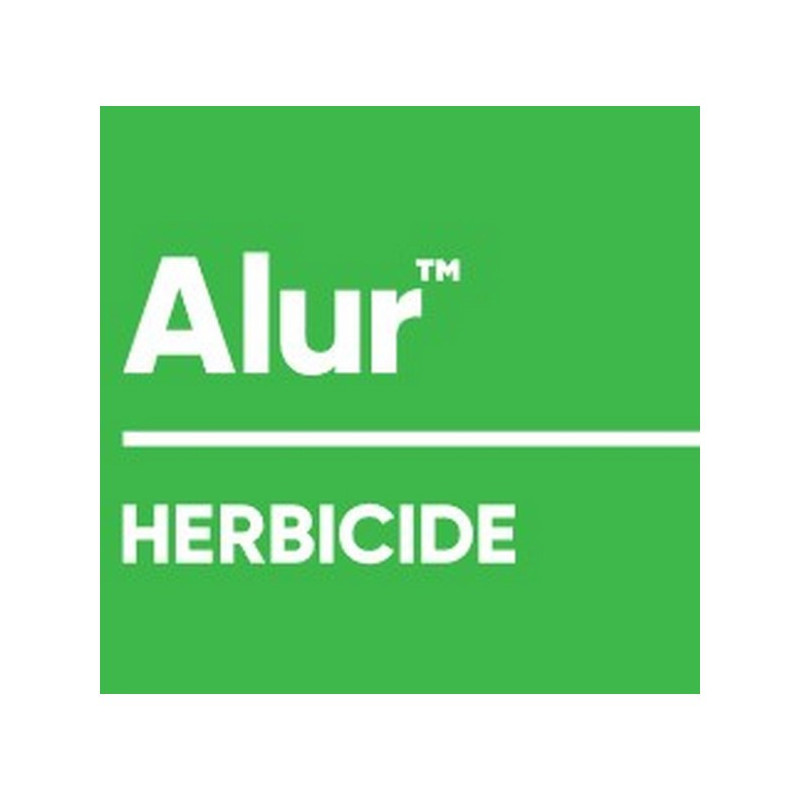 ALUR ALUR