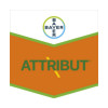 ATTRIBUT