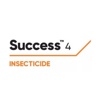 SUCCESS 4