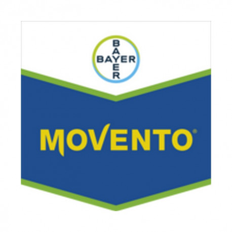 MOVENTO