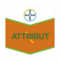 ATTRIBUT
