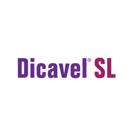 DICAVEL SL