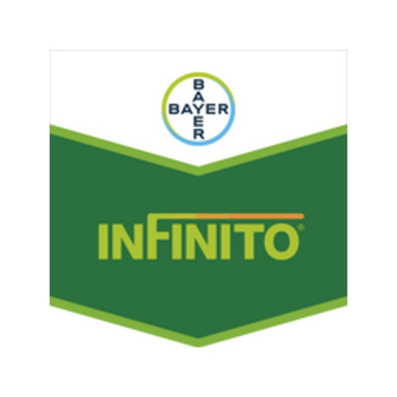 INFINITO INFINITO