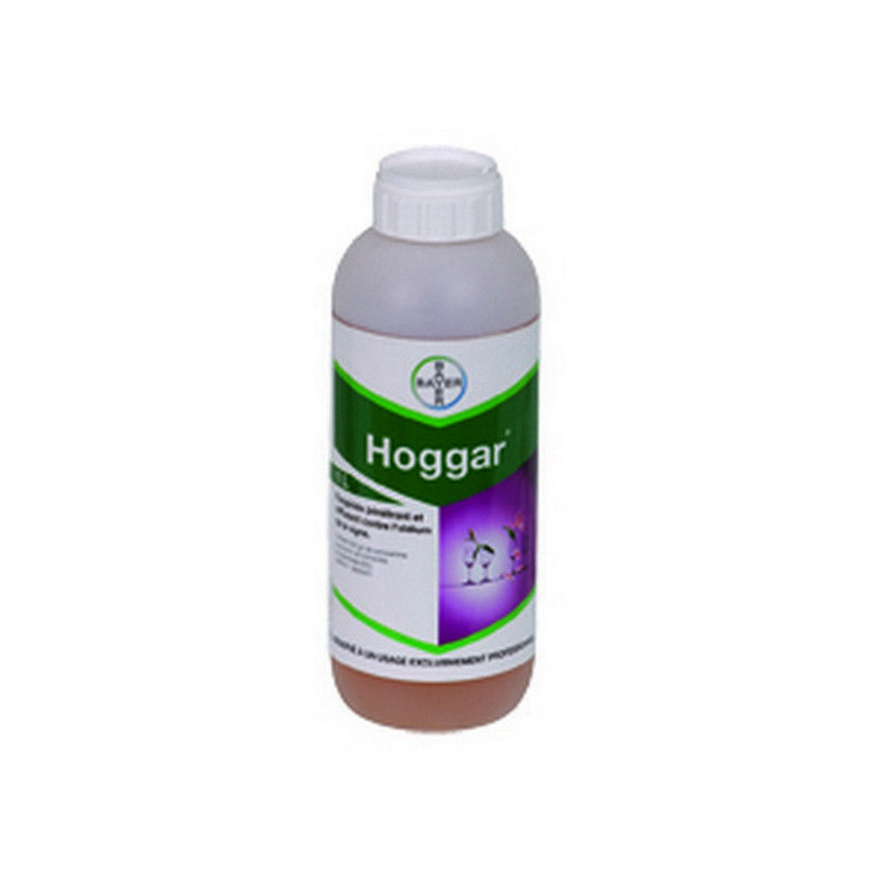 HOGGAR HOGGAR