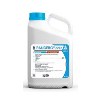 PANDERO GOLD
