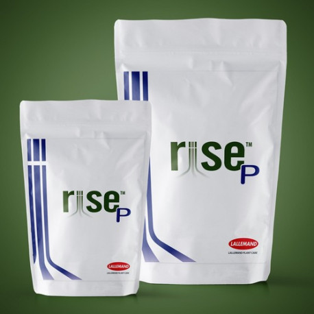 RISE P (Inoculant racinaire)