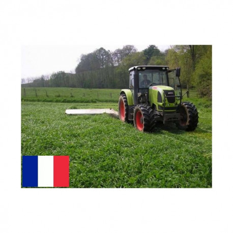RGH 2N PLETOR, Ray-grass Hybride