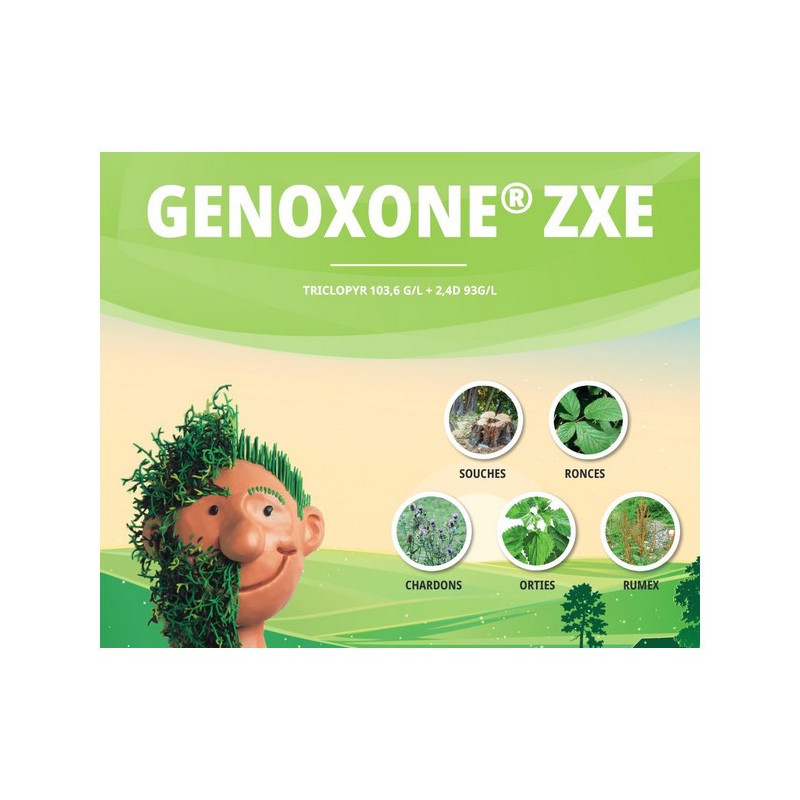 GENOXONE ZX E GENOXONE ZX E