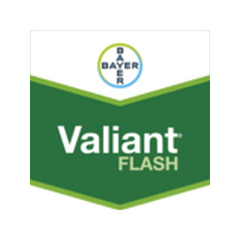 VALIANT FLASH VALIANT FLASH