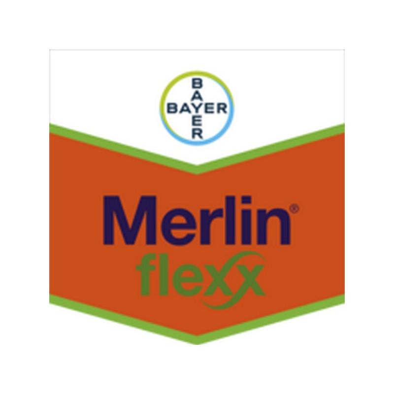 MERLIN FLEXX MERLIN FLEXX