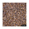 Sainfoin double en cosse