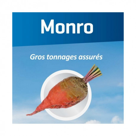 Betterave fourragère MONRO