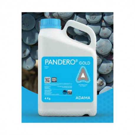 PANDERO GOLD