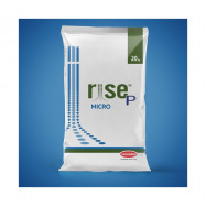 RISE P Micro