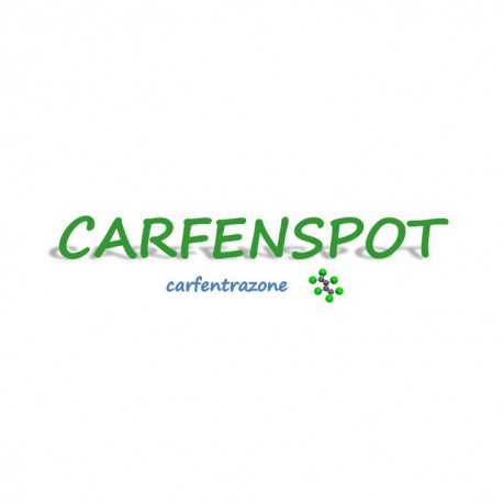 CARFENSPOT