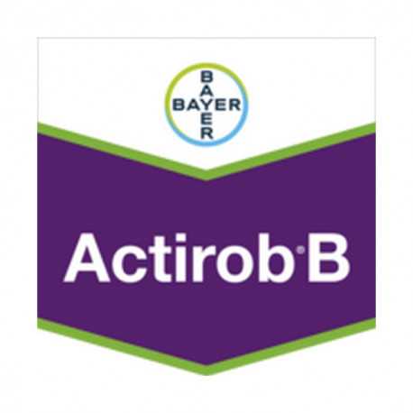 ACTIROB B