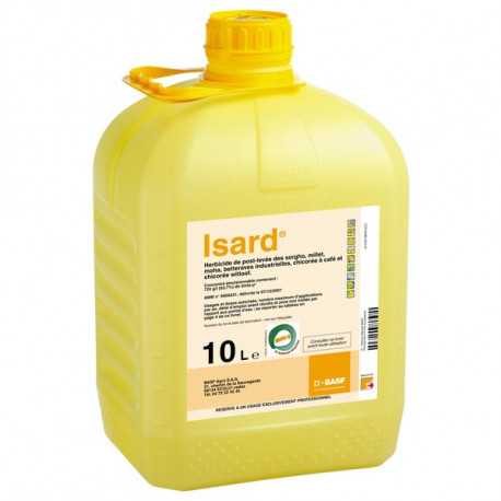 ISARD