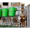 NICHE A VEAUX CALFHOUSE 4/5 PLACES