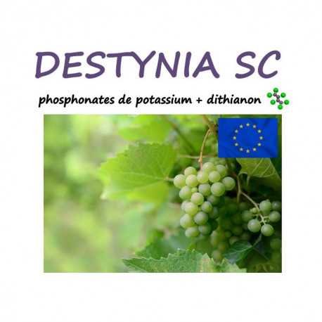 DESTYNIA SC