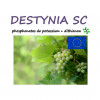 DESTYNIA SC