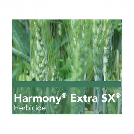 HARMONY EXTRA SX