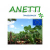 ANETTI