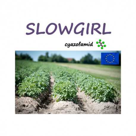 SLOWGIRL