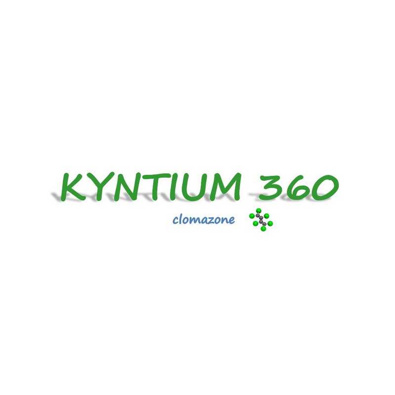 KYNTIUM 360