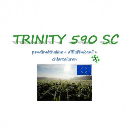 TRINITY 590 SC
