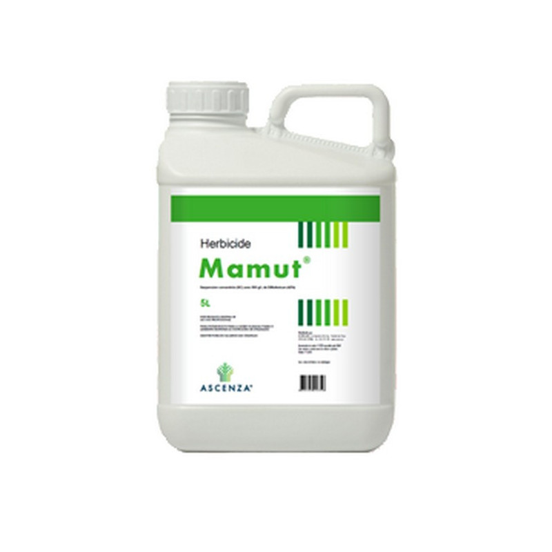 MAMUT MAMUT