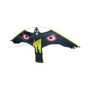 CERF VOLANT ŒIL NOIR BRILLANT