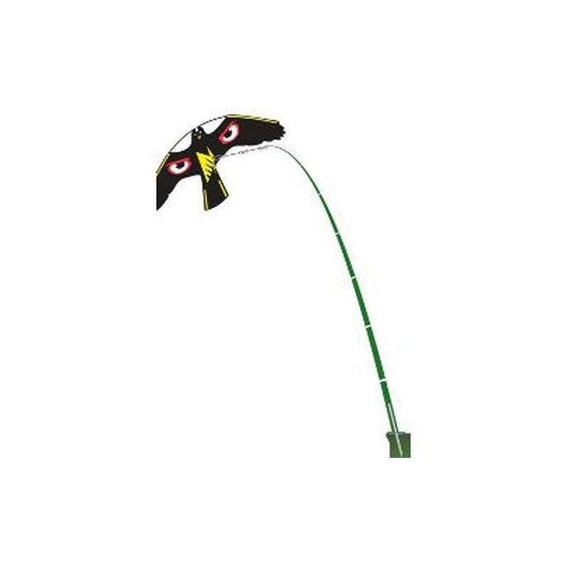 CERF VOLANT ŒIL NOIR BRILLANT + PIVOT CERF VOLANT ŒIL NOIR BRILLANT + PIVOT