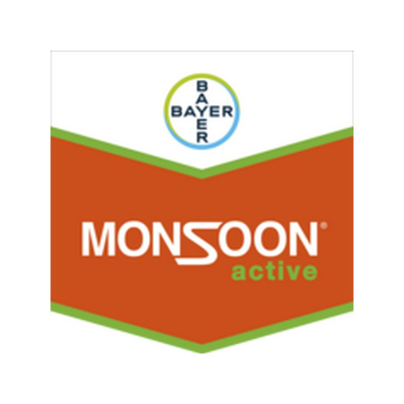 MONSOON ACTIVE MONSOON ACTIVE