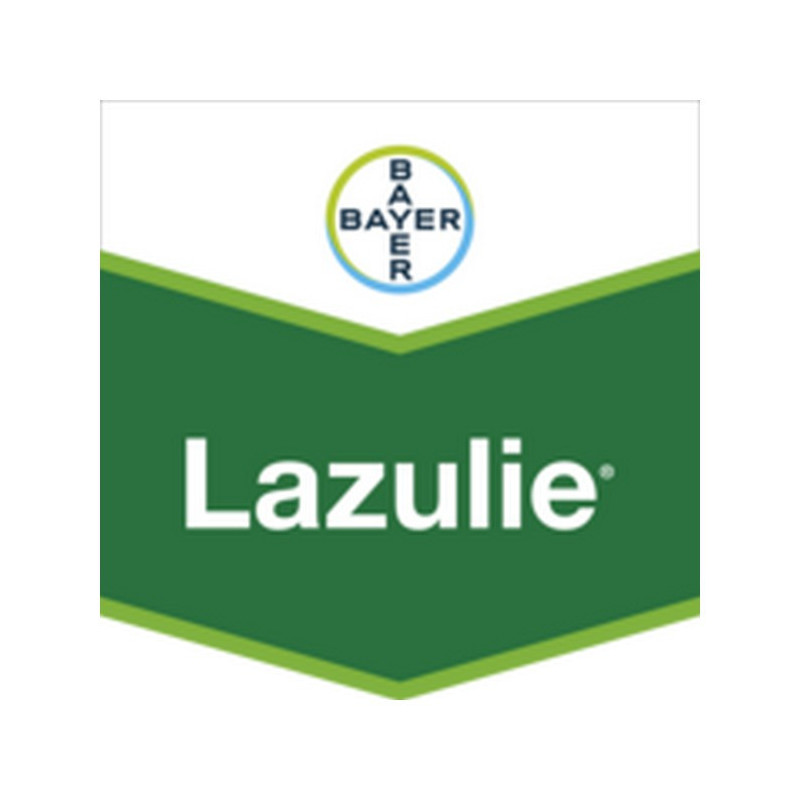 LAZULIE LAZULIE