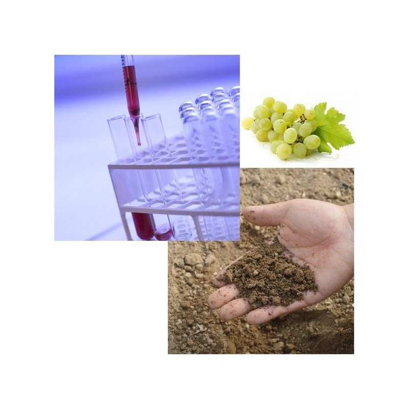 Analyse de terre + Oligos EDTA viticole