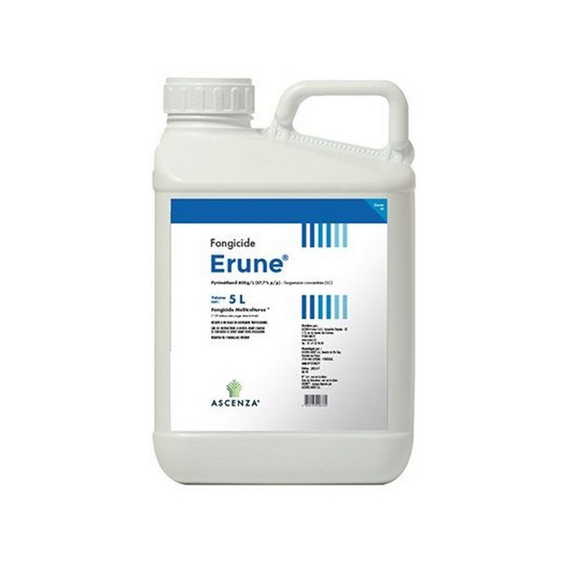 ERUNE ERUNE
