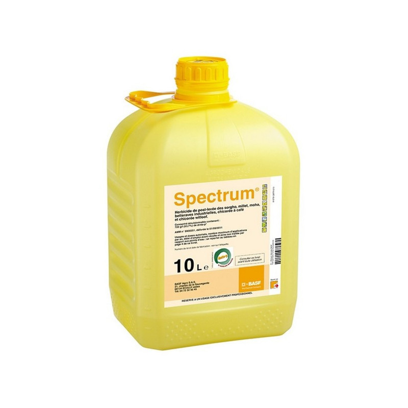 SPECTRUM SPECTRUM