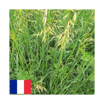 Mélange QUALI HERB' AUTOMNALE AV