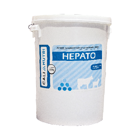 HEPATO