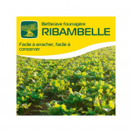Betterave fourragère RIBAMBELLE