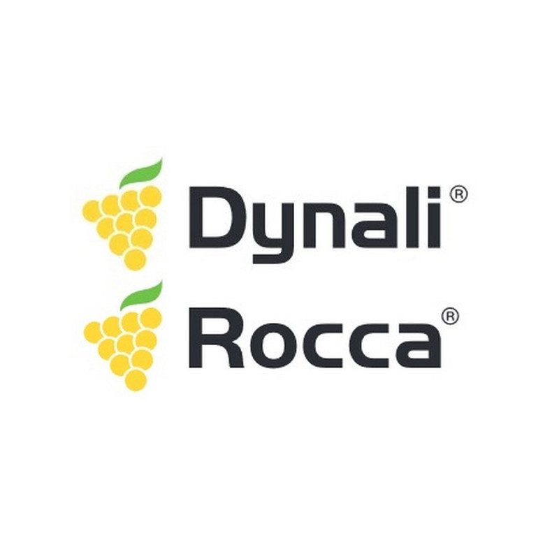 DYNALI DYNALI