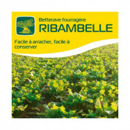 Betterave fourragère RIBAMBELLE