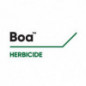 BOA