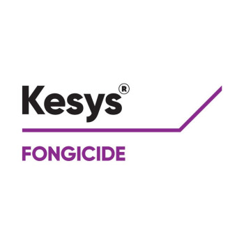 KESYS